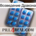 Возведение Дракона viagra2